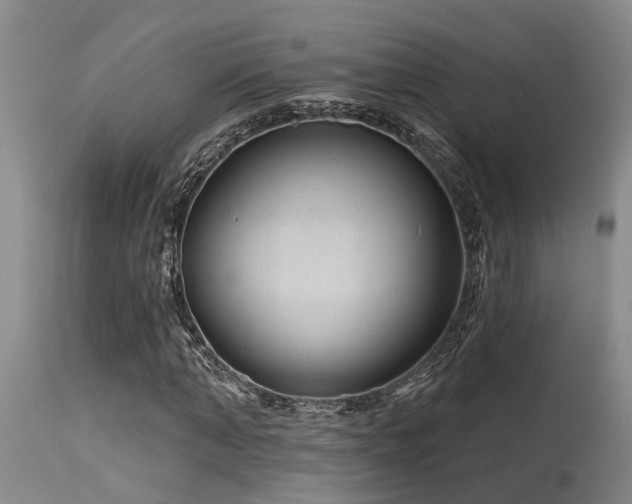X0000115630870200911101436