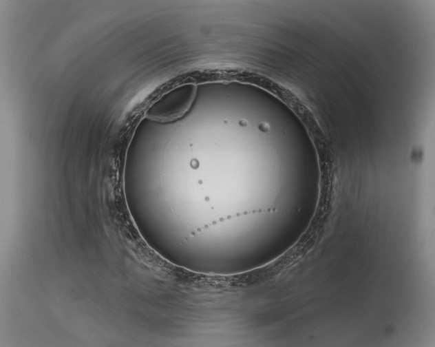 X0000115630871200911101436