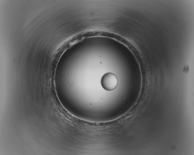 X0000115630872200911101436