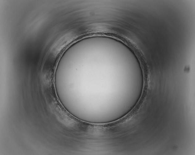 X0000115630873200911101436