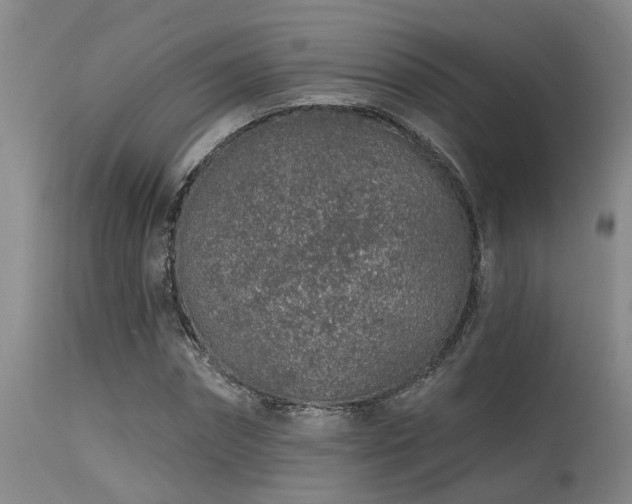 X0000115630874200911101436