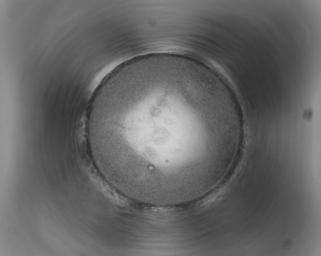 X0000115630875200911101436