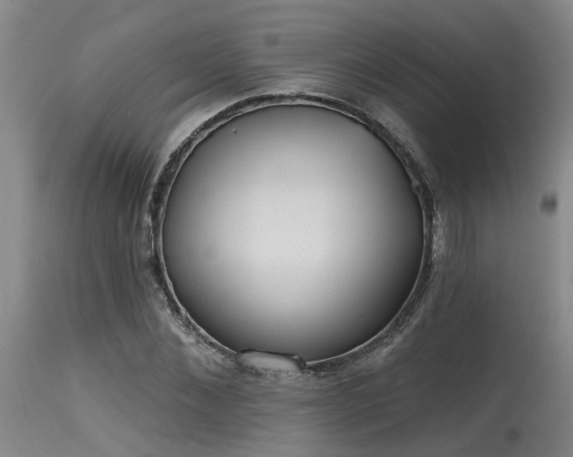 X0000115630876200911101435