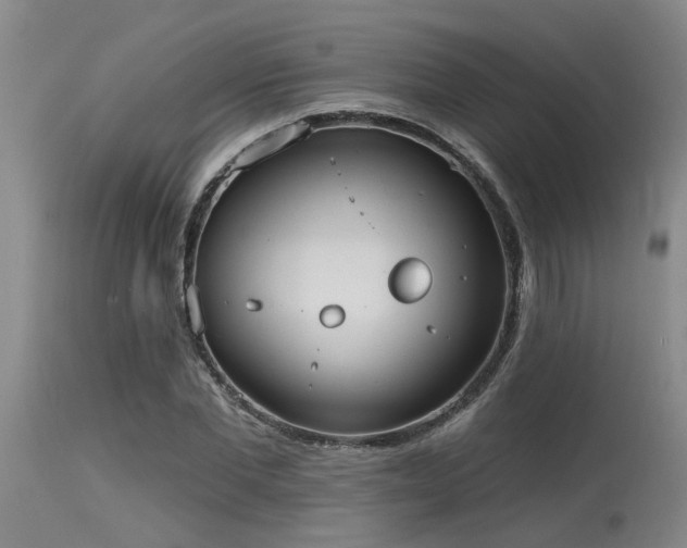 X0000115630877200911101435
