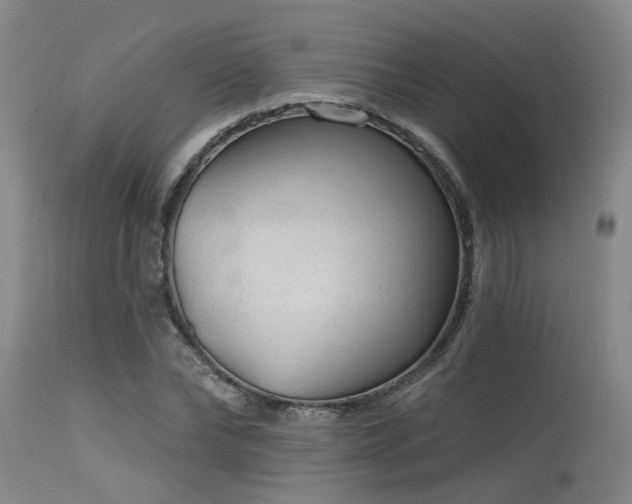 X0000115630878200911101435
