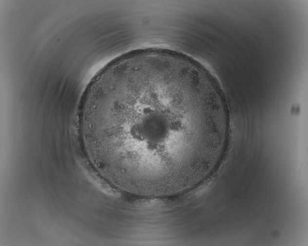 X0000115630879200911101435
