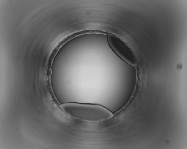 X0000115630880200911101435