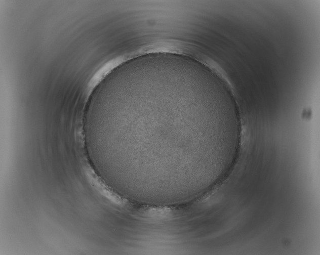 X0000115630882200911101435