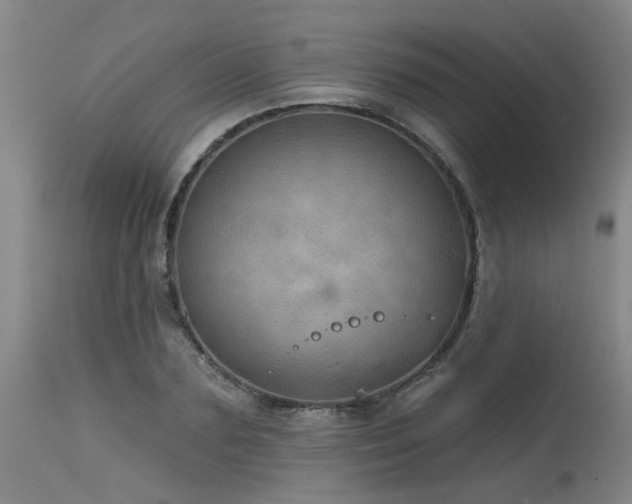 X0000115630883200911101435
