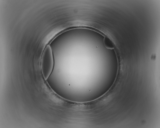 X0000115630885200911101435