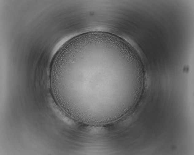 X0000115630886200911101435