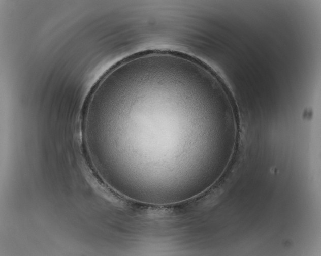 X0000115630887200911101435