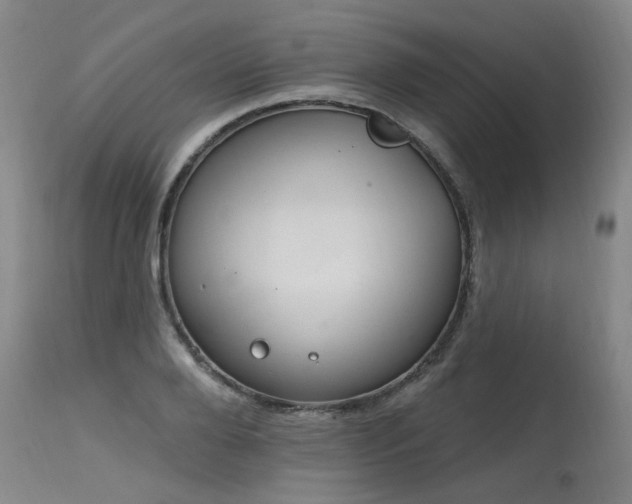 X0000115630888200911101435