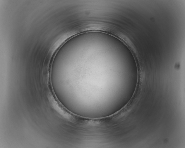 X0000115630890200911101435