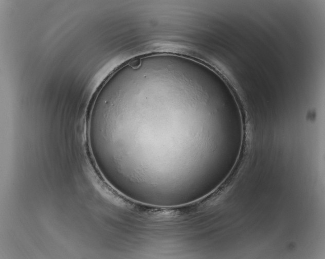 X0000115630891200911101435