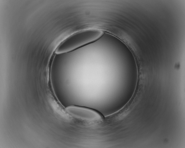X0000115630892200911101435