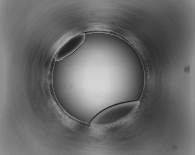 X0000115630893200911101435