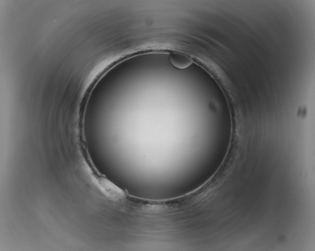 X0000115630894200911101435