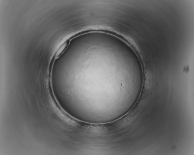 X0000115630895200911101435