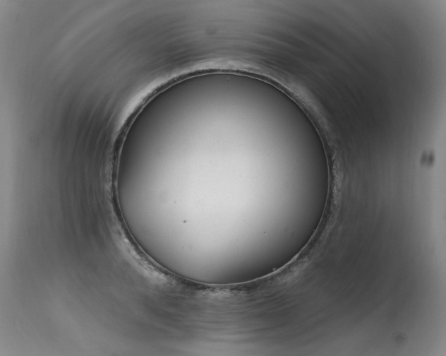 X0000115630896200911101435
