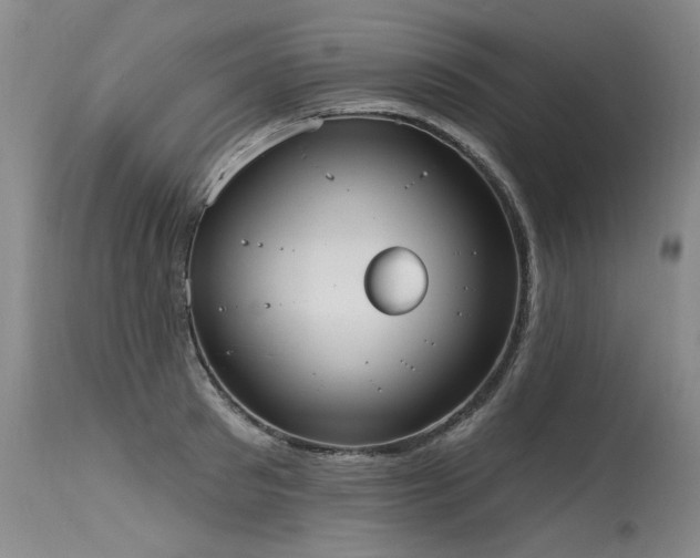 X0000115630897200911101435