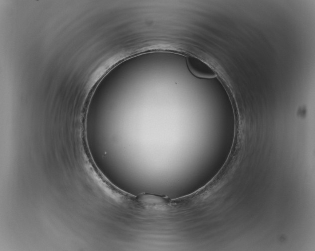 X0000115630898200911101435