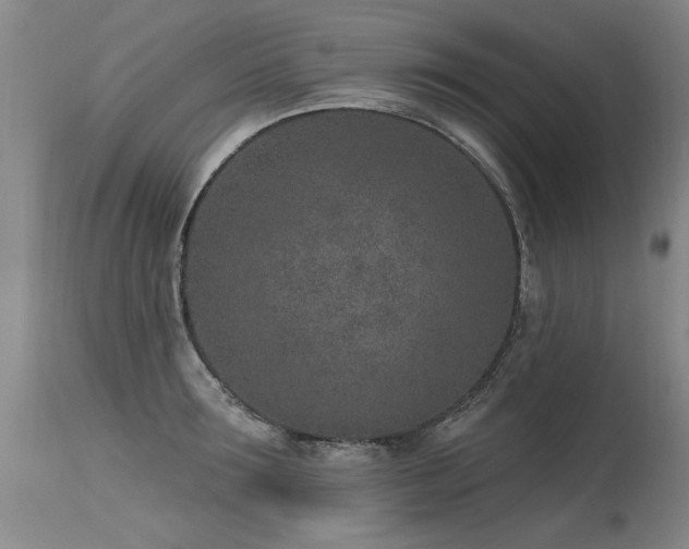 X0000115630899200911101435