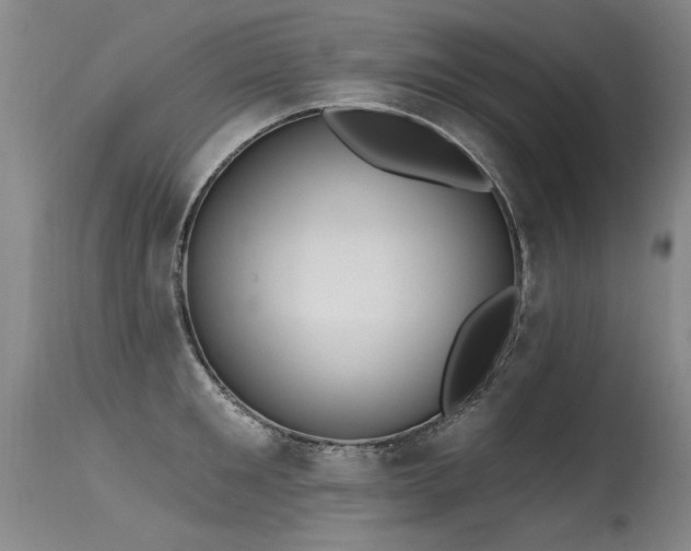 X0000115630901200911101435
