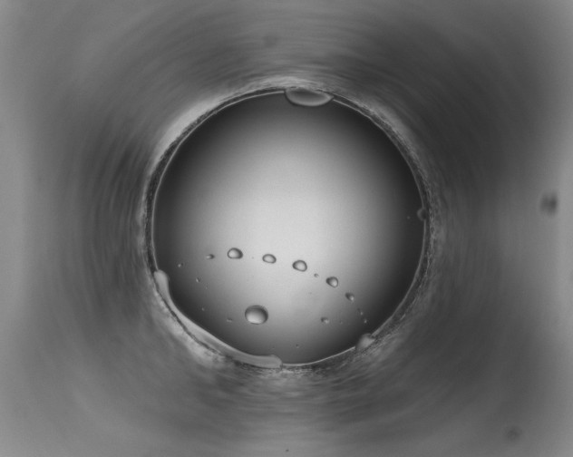 X0000115630902200911101435