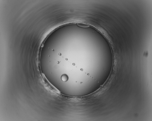 X0000115630904200911101435