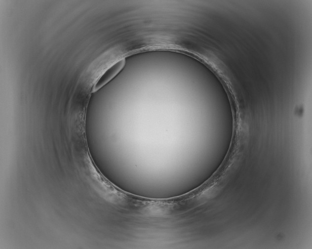 X0000115630905200911101435