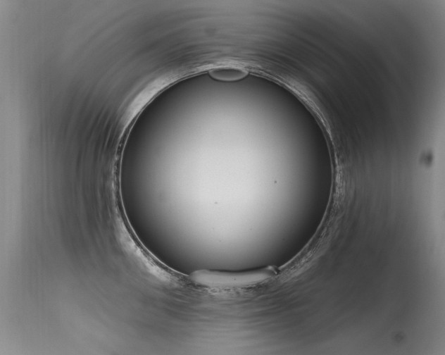 X0000115630906200911101435
