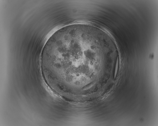 X0000115630907200911101435
