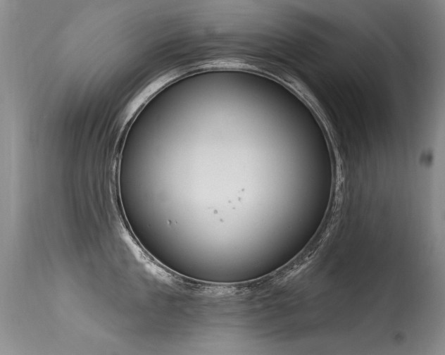 X0000115630909200911101435