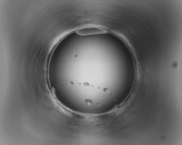 X0000115630910200911101435