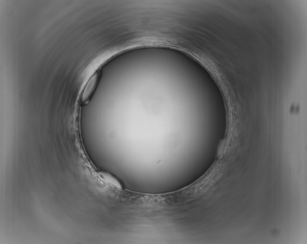 X0000115630912200911101435