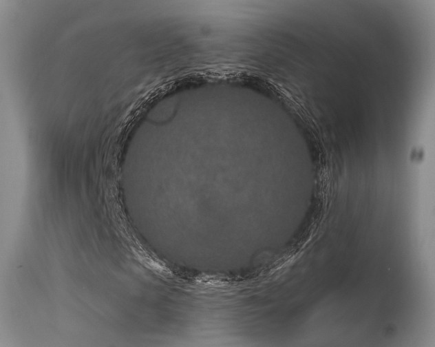 X0000115630913200911101434
