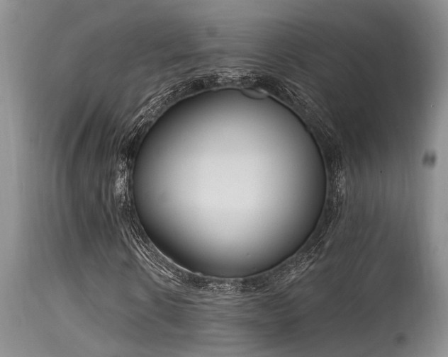 X0000115630914200911101434