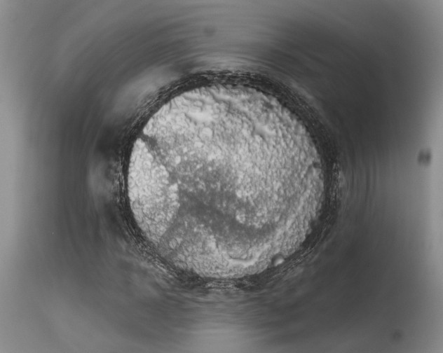X0000115630918200911101434