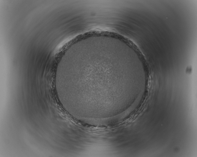 X0000115630919200911101434