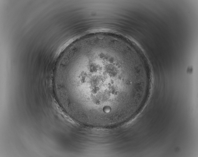 X0000115630921200911101434