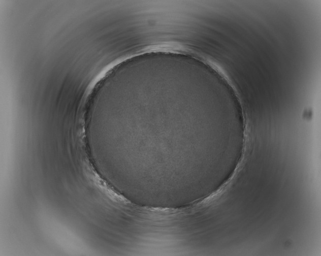 X0000115630923200911101434