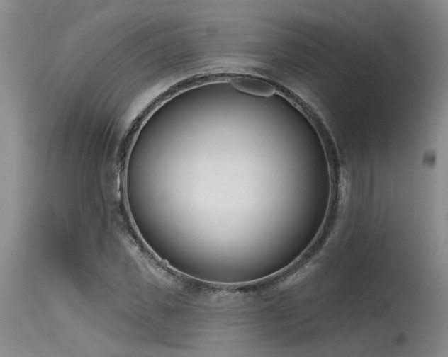 X0000115630925200911101434