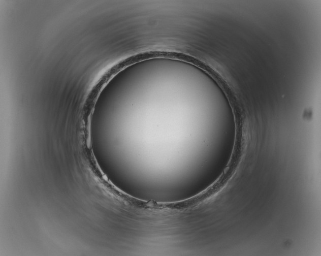 X0000115630926200911101434