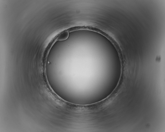 X0000115630927200911101434