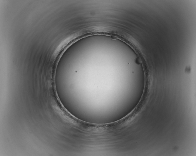 X0000115630930200911101434