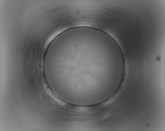 X0000115630933200911101434
