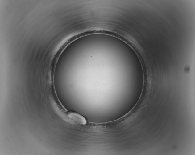 X0000115630934200911101434