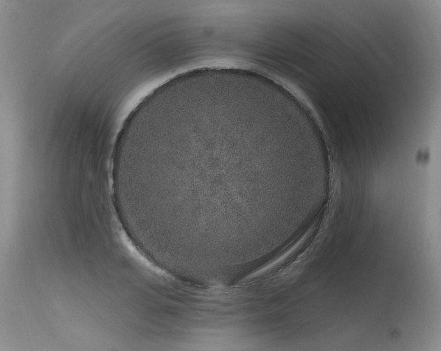 X0000115630935200911101434