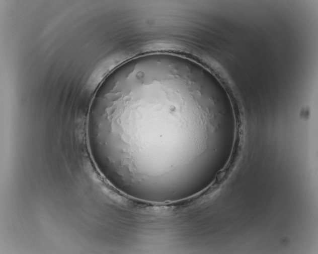 X0000115630937200911101434